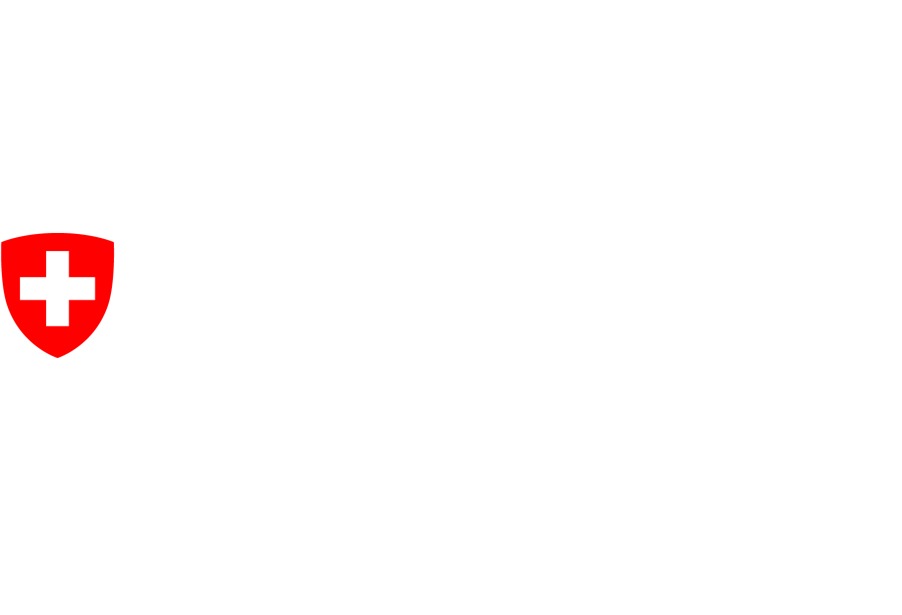 Innosuisse — Initial Coaching