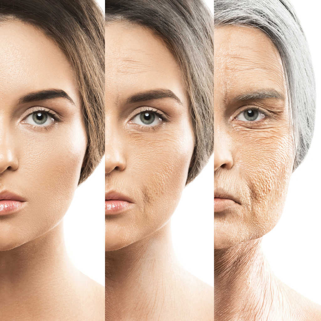 Biomarkers for Aging and Regeneration